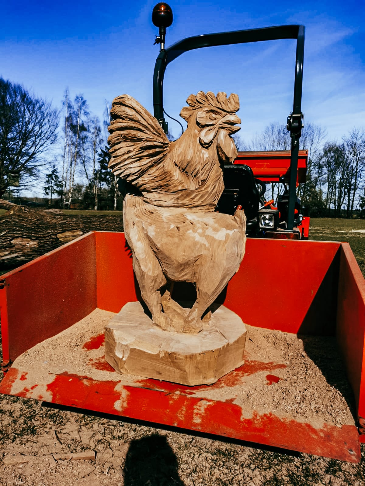 Kettensägen Skulptur – Bild 4