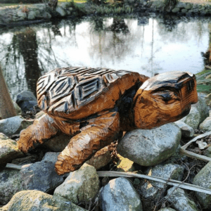 Schildkröte Holz