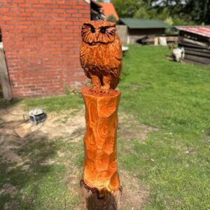 Kettensägenkunst Eule