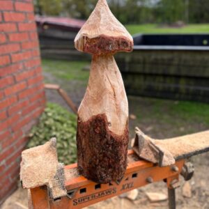 Holzpilz