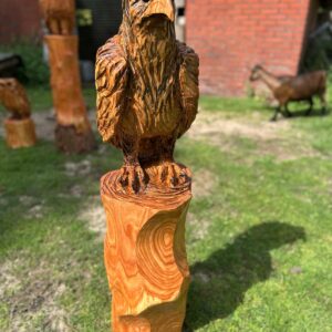SCHNITZKURS ADLER