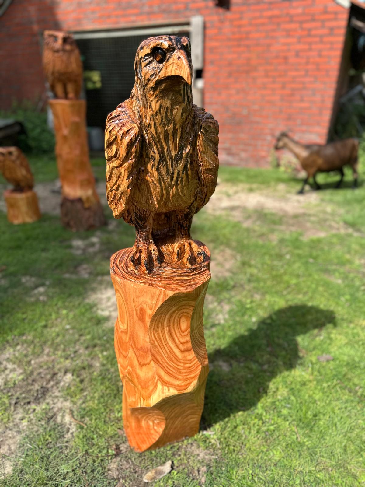 SCHNITZKURS ADLER
