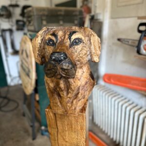 Hundekopf